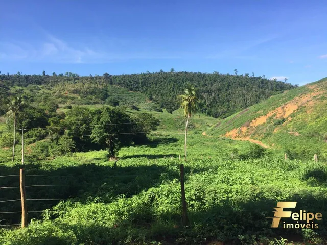 Imagem: Fazenda Próximo a Colatina / Região Noroeste