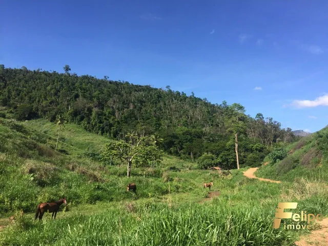 Imagem 12: Fazenda Próximo a Colatina / Região Noroeste