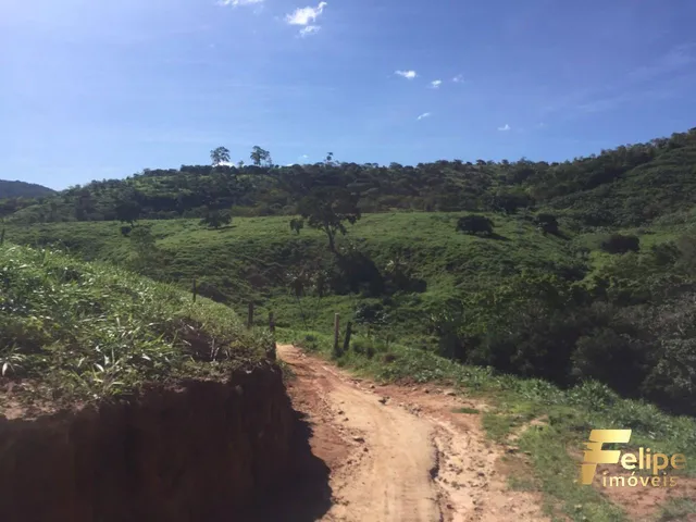 Imagem 4: Fazenda Próximo a Colatina / Região Noroeste