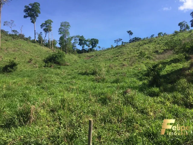 Imagem 6: Fazenda Próximo a Colatina / Região Noroeste