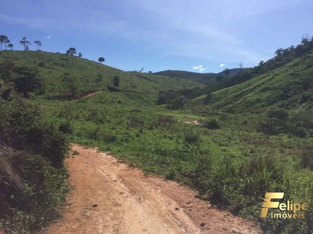 Imagem 11: Fazenda Próximo a Colatina / Região Noroeste