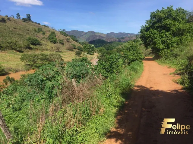 Imagem 15: Fazenda Próximo a Colatina / Região Noroeste
