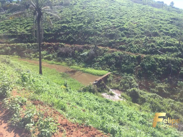 Imagem 16: Fazenda Próximo a Colatina / Região Noroeste
