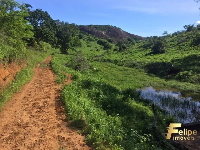 Imagem 5: Fazenda Próximo a Colatina / Região Noroeste