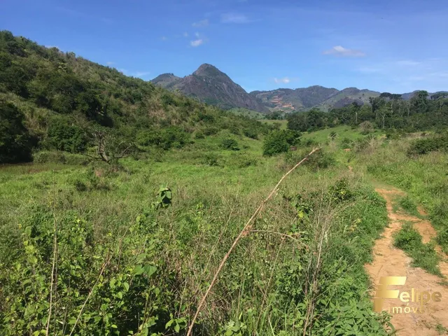 Imagem 8: Fazenda Próximo a Colatina / Região Noroeste