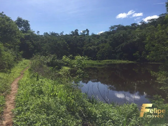 Imagem 9: Fazenda Próximo a Colatina / Região Noroeste