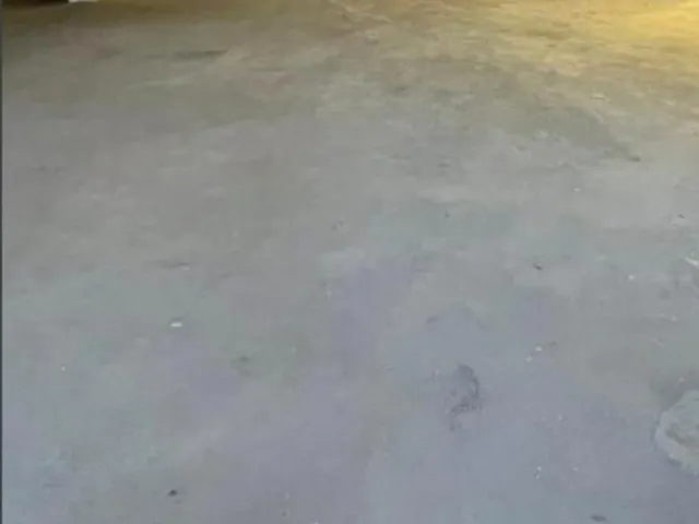 Imagem 3: Edifício Comercial À Venda na Praia do Canto - Vitória / Es