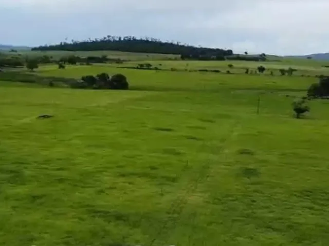 Imagem: Fazenda À Venda em Teixeira de Freitas