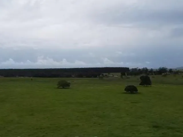 Imagem 3: Fazenda À Venda em Teixeira de Freitas / Bahia