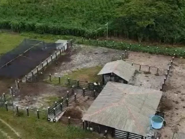 Imagem 2: Fazenda À Venda em Teixeira de Freitas / Bahia