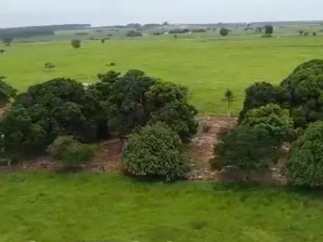 Imagem 6: Fazenda À Venda em Teixeira de Freitas / Bahia