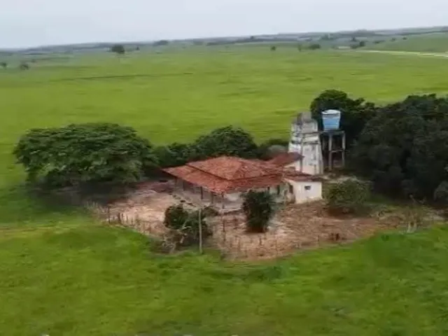 Imagem 8: Fazenda À Venda em Teixeira de Freitas / Bahia