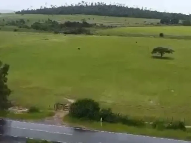 Imagem 4: Fazenda À Venda em Teixeira de Freitas / Bahia