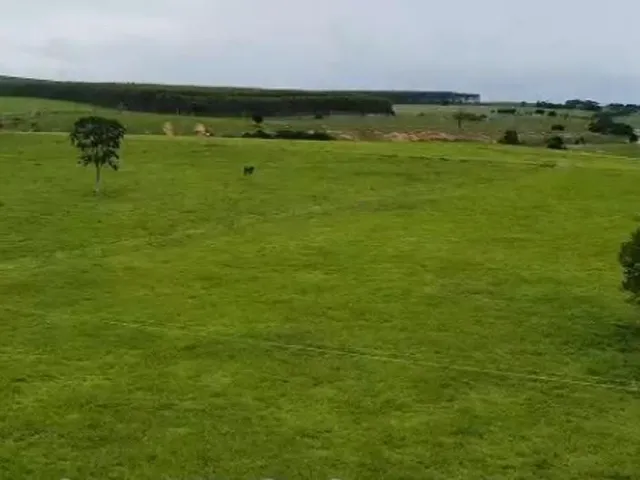 Imagem 7: Fazenda À Venda em Teixeira de Freitas / Bahia