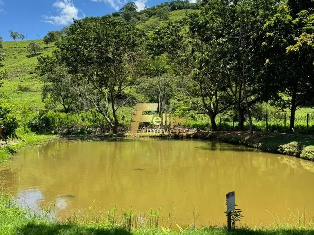 Imagem 9: Linda Propriedade À Venda!