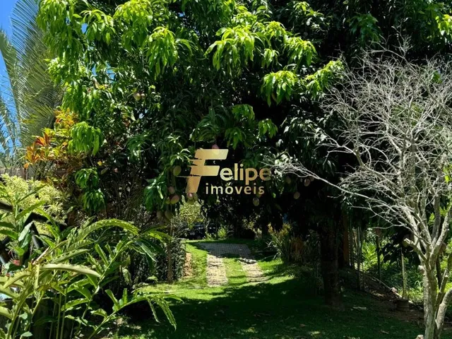 Imagem 3: Linda Propriedade À Venda!