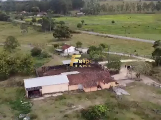 Imagem: Excelente Fazenda a Venda Porteira Fechada