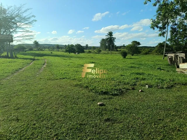 Imagem: Maravilhosa Fazenda para Plantio de Café