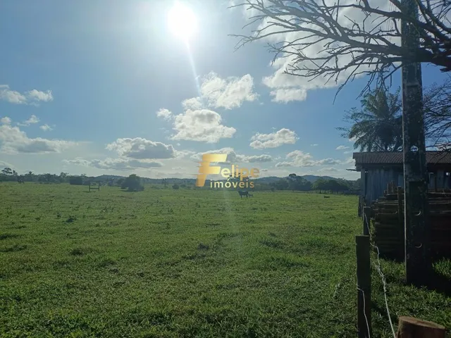 Imagem 4: Maravilhosa Fazenda para Plantio de Café