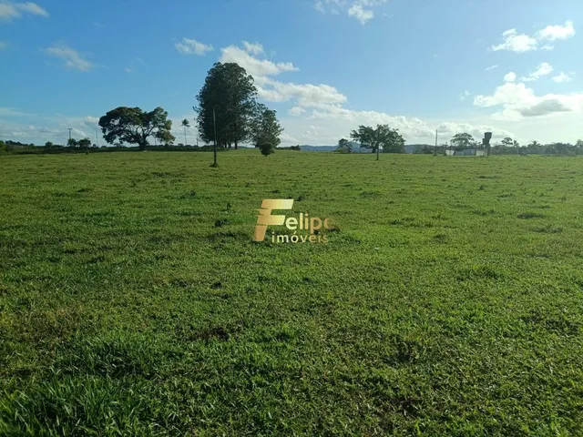 Imagem 3: Maravilhosa Fazenda para Plantio de Café