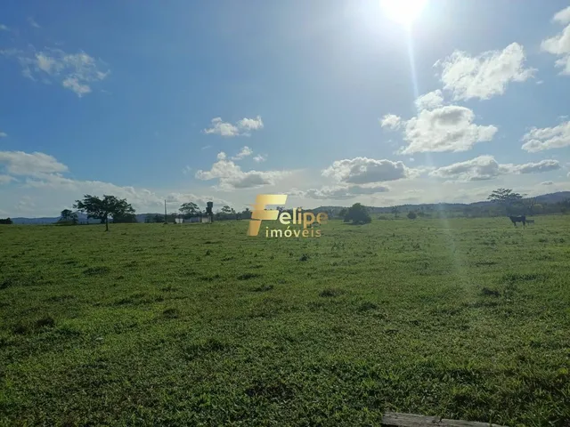 Imagem 2: Maravilhosa Fazenda para Plantio de Café