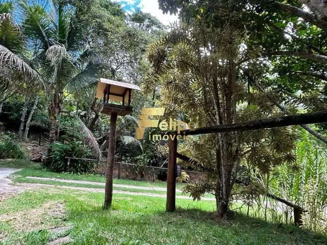 Imagem 10: Não Perca Essa Oportunidade e Venha Conhecer Este Lindo Sítio À Venda em Buenos Aires, Guarapari/Es!
