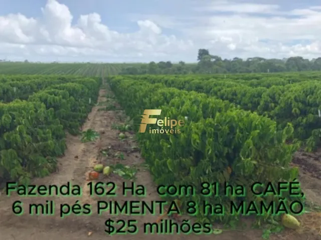 Imagem: Fazenda de Alto Padrão em Eunápolis/Ba