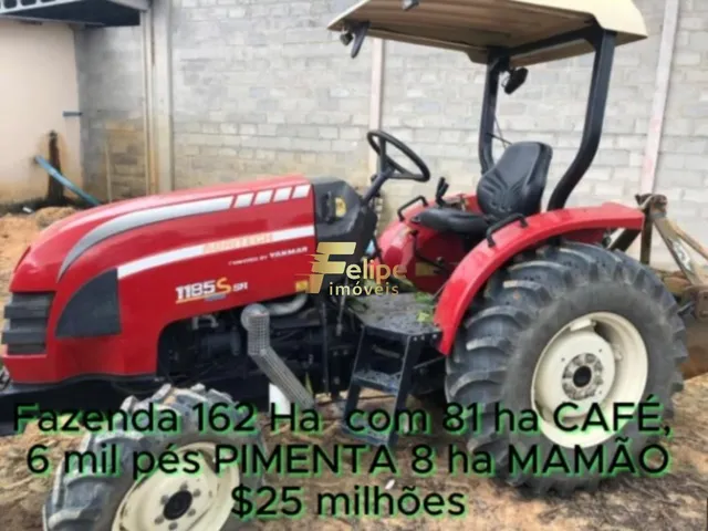 Imagem 3: Fazenda de Alto Padrão em Eunápolis/Ba 162 Hectares Documentados 81 Há de Café