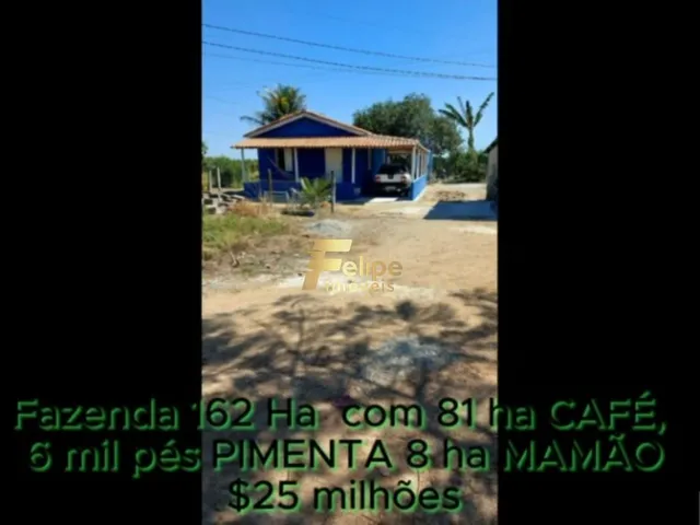 Imagem 6: Fazenda de Alto Padrão em Eunápolis/Ba 162 Hectares Documentados 81 Há de Café