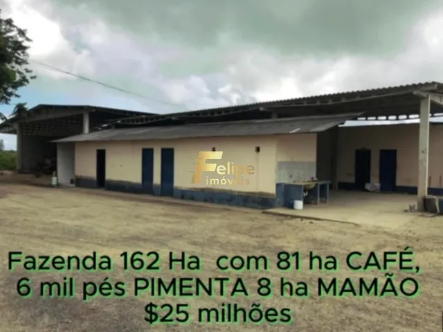 Imagem 13: Fazenda de Alto Padrão em Eunápolis/Ba 162 Hectares Documentados 81 Há de Café