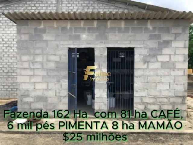 Imagem 2: Fazenda de Alto Padrão em Eunápolis/Ba 162 Hectares Documentados 81 Há de Café