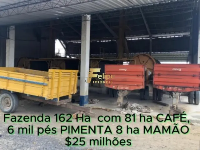 Imagem 14: Fazenda de Alto Padrão em Eunápolis/Ba 162 Hectares Documentados 81 Há de Café
