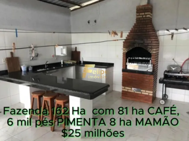 Imagem 16: Fazenda de Alto Padrão em Eunápolis/Ba 162 Hectares Documentados 81 Há de Café