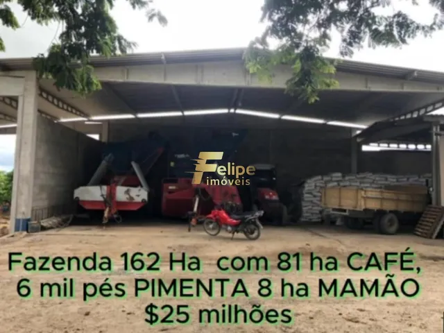 Imagem 10: Fazenda de Alto Padrão em Eunápolis/Ba 162 Hectares Documentados 81 Há de Café