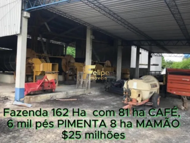Imagem 8: Fazenda de Alto Padrão em Eunápolis/Ba 162 Hectares Documentados 81 Há de Café