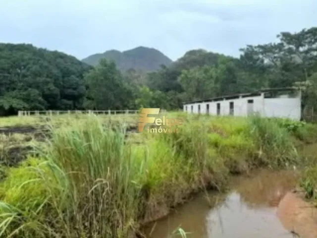 Imagem: Belo e Espaçoso Sítio À Venda na Região