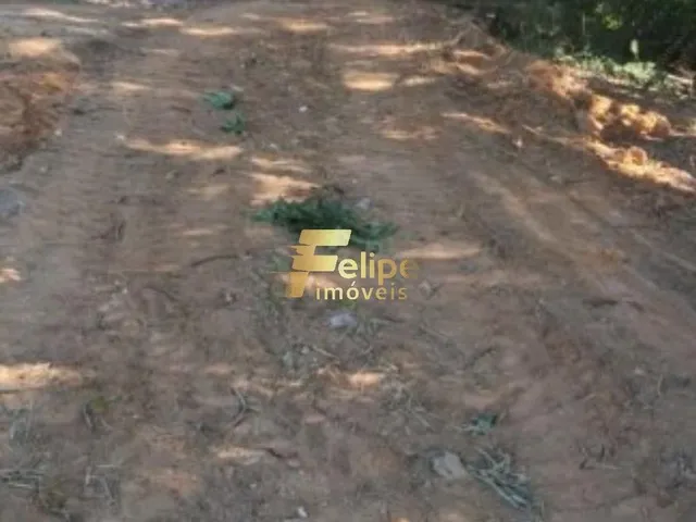 Imagem 15: Belo e Espaçoso Sítio À Venda na Região da Comunidade de Andana, em Guarapari/Es!