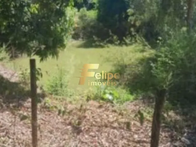 Imagem 8: Belo e Espaçoso Sítio À Venda na Região da Comunidade de Andana, em Guarapari/Es!