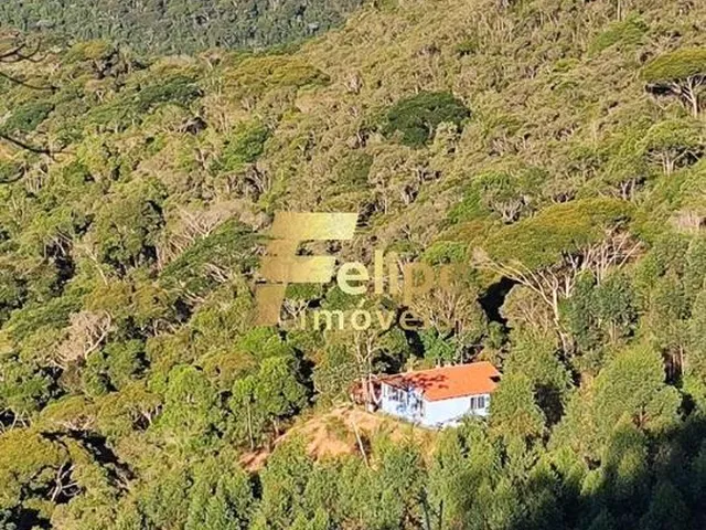 Imagem 8: Belíssimo Sítio À Venda na Região das Montanhas Capixabas, Localizado em Domingos Martins/Es!