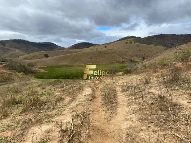 Imagem 2: Belíssima Fazenda de 58 Alqueires, À Venda em Nova Módica/Mg, Aceita Permuta!