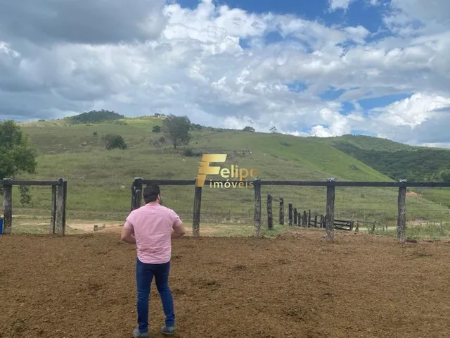 Imagem 13: Belíssima Fazenda de 58 Alqueires, À Venda em Nova Módica/Mg, Aceita Permuta!