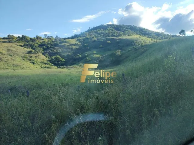Imagem 8: Belíssima Fazenda de 58 Alqueires, À Venda em Nova Módica/Mg, Aceita Permuta!
