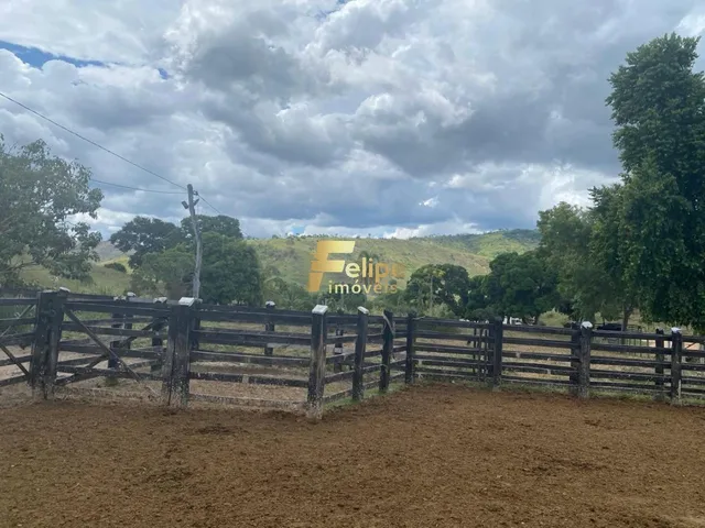 Imagem 12: Belíssima Fazenda de 58 Alqueires, À Venda em Nova Módica/Mg, Aceita Permuta!