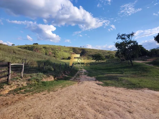 Imagem 9: Belíssima Fazenda de 58 Alqueires, À Venda em Nova Módica/Mg, Aceita Permuta!