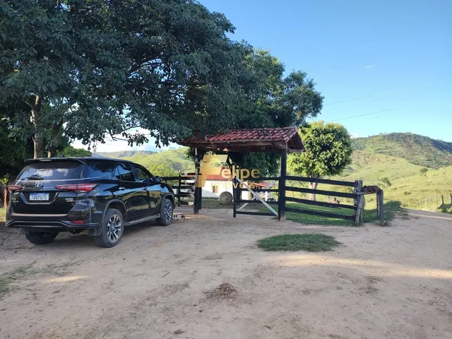 Imagem 4: Belíssima Fazenda de 58 Alqueires, À Venda em Nova Módica/Mg, Aceita Permuta!
