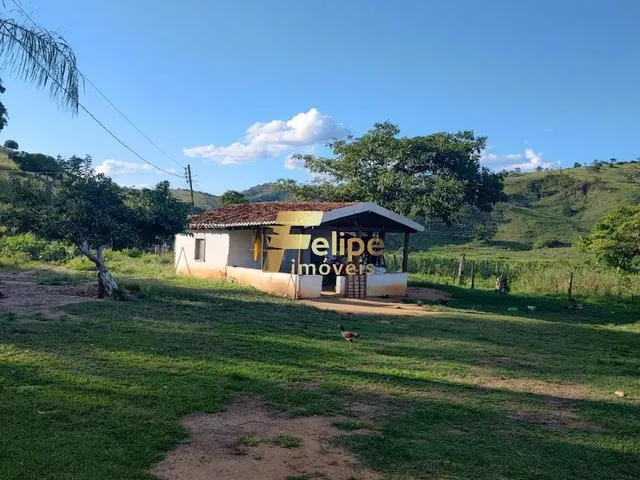 Imagem 10: Belíssima Fazenda de 58 Alqueires, À Venda em Nova Módica/Mg, Aceita Permuta!