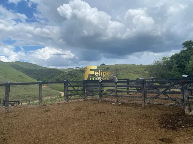 Imagem 3: Belíssima Fazenda de 58 Alqueires, À Venda em Nova Módica/Mg, Aceita Permuta!