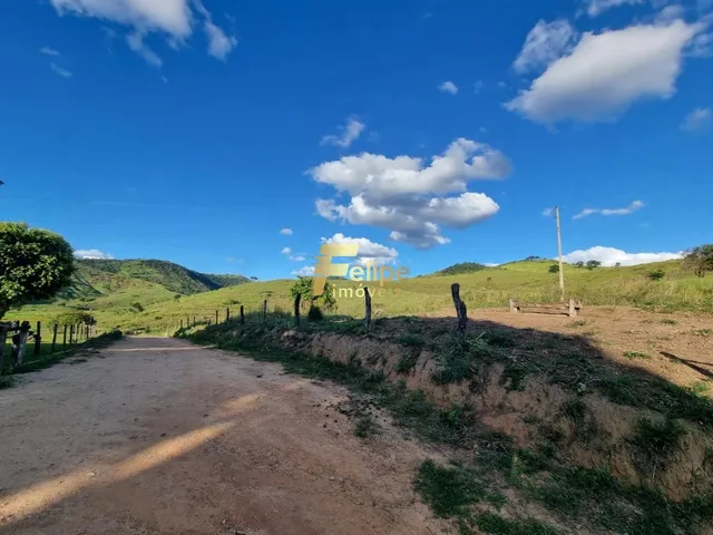 Imagem 5: Belíssima Fazenda de 58 Alqueires, À Venda em Nova Módica/Mg, Aceita Permuta!