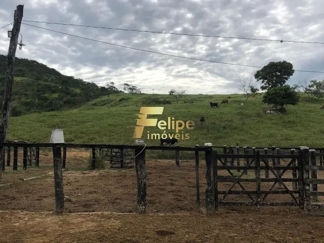 Imagem 15: Belíssima Fazenda de 58 Alqueires, À Venda em Nova Módica/Mg, Aceita Permuta!
