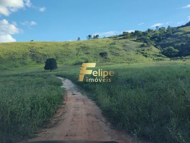 Imagem 14: Belíssima Fazenda de 58 Alqueires, À Venda em Nova Módica/Mg, Aceita Permuta!